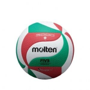 Molten Volleyball 5000