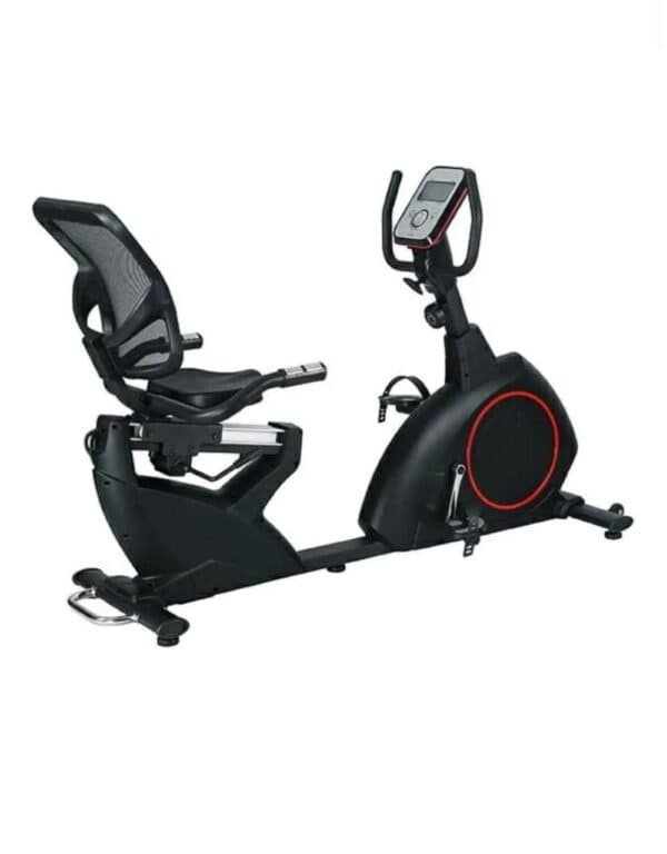 Deluxe Recumbent bike TS