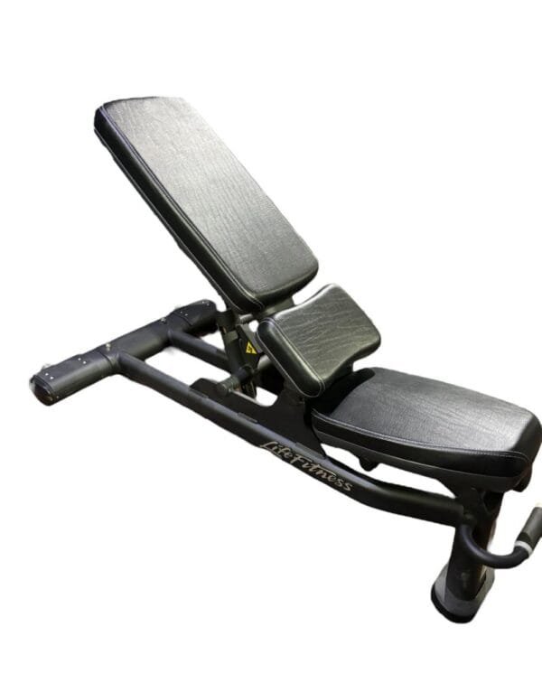 Life Fitness Adjustable Gym Bench