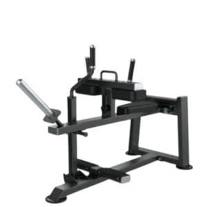 SEATED CALF