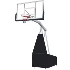 Professional Official Basketball Unit