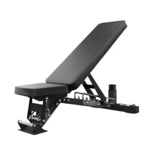 Stainless Adjustable Gym Bench